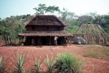 africa;african;africans;hut;huts;home;home;house;housing;dwelling;residence;two-storey;two_storey;two-story;two_story;two-tiered;two_tiered;thatch;thatch-roof;thatched;mud;mud-hut;mud_hut;child;children;entrance;door;balcony;bush;tree;trees;poor;poverty;tradition-;tradtitions;traditional;culture;cultures;cultural;third-world;zaire;congo;democratic-republic-of-congo;banana-palm;hut;thatch;two_storey;two_story;two-storey;two-story;woman;women;home;homes;house;houses;tree;trees;bush;bushes;mother-;woman;jungle;build;new;construction;yard;female