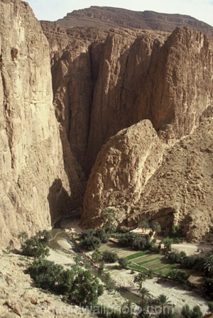canyon;canyons;gorges;gorge;palmerie;palmeries;sahara;spectacular;cliff;cliffs;bluff;bluffs;river;rivers;todra;morocco;moroccan;africa-;african