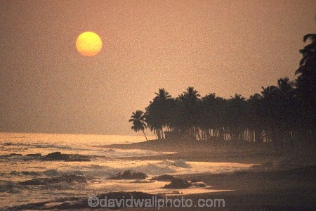 african;silhouette;sunset;sunrise;ocean;sea;atlantic;elmina;ghana;ghanain;west-africa;sahel;light;sun-;palm-tree;palm-trees;beach;beaches;waves