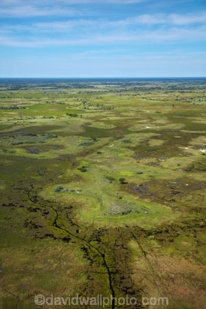 aerial;aerial-image;aerial-images;aerial-photo;aerial-photograph;aerial-photographs;aerial-photography;aerial-photos;aerial-view;aerial-views;aerials;Africa;Botswana;delta;deltas;Endorheic-basin;flood-plain;flood-plains;flood_plain;flood_plains;floodplain;floodplains;inland-delta;internal-drainage-systems;Okavango;Okavango-Delta;Okavango-Swamp;plain;plains;river-delta;Seven-Natural-Wonders-of-Africa;Southern-Africa