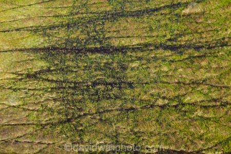 aerial;aerial-image;aerial-images;aerial-photo;aerial-photograph;aerial-photographs;aerial-photography;aerial-photos;aerial-view;aerial-views;aerials;Africa;animal-track;animal-tracks;animal-trail;animal-trails;Botswana;delta;deltas;Endorheic-basin;flood-plain;flood-plains;flood_plain;flood_plains;floodplain;floodplains;inland-delta;internal-drainage-systems;Okavango;Okavango-Delta;Okavango-Swamp;path;paths;pathways;plain;plains;river-delta;Seven-Natural-Wonders-of-Africa;Southern-Africa;swamp;swampland;swamps;track;tracks;trail;trails;wildlife-tracks;wildlife-trails