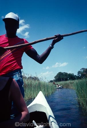 Mokoro;Poler;Okavango-Delta;okavango;delta;Botswana;Southern-Africa;botswanan;africa;african;man;men;travel;tourism;canoe;canoes;pole;kayak;kayaks;water;reserve