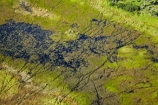 aerial;aerial-image;aerial-images;aerial-photo;aerial-photograph;aerial-photographs;aerial-photography;aerial-photos;aerial-view;aerial-views;aerials;Africa;animal-track;animal-tracks;animal-trail;animal-trails;Botswana;delta;deltas;Endorheic-basin;flood-plain;flood-plains;flood_plain;flood_plains;floodplain;floodplains;inland-delta;internal-drainage-systems;Okavango;Okavango-Delta;Okavango-Swamp;path;paths;pathways;plain;plains;river-delta;Seven-Natural-Wonders-of-Africa;Southern-Africa;swamp;swampland;swamps;track;tracks;trail;trails;wildlife-tracks;wildlife-trails