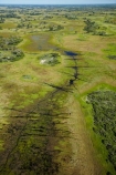 aerial;aerial-image;aerial-images;aerial-photo;aerial-photograph;aerial-photographs;aerial-photography;aerial-photos;aerial-view;aerial-views;aerials;Africa;animal-track;animal-tracks;animal-trail;animal-trails;Botswana;delta;deltas;Endorheic-basin;flood-plain;flood-plains;flood_plain;flood_plains;floodplain;floodplains;inland-delta;internal-drainage-systems;Okavango;Okavango-Delta;Okavango-Swamp;path;paths;pathways;plain;plains;river-delta;Seven-Natural-Wonders-of-Africa;Southern-Africa;swamp;swampland;swamps;track;tracks;trail;trails;wildlife-tracks;wildlife-trails
