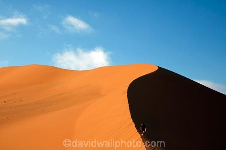 adventure;adventurous;Africa;African;arid;big-dunes;Dead-vlei;Deadvlei;desert;deserts;dry;dune;dunes;giant-dune;giant-dunes;giant-sand-dune;giant-sand-dunes;holiday;holidays;hot;huge-dunes;large-dunes;male;man;Namib-Desert;Namib-Naukluft-N.P.;Namib-Naukluft-National-Park;Namib-Naukluft-NP;Namib_Naukluft-N.P.;Namib_Naukluft-National-Park;Namib_Naukluft-NP;Namibia;national-park;national-parks;natural;orange-sand;people;person;remote;remoteness;reserve;reserves;sand;sand-dune;sand-dunes;sand-hill;sand-hills;sand_dune;sand_dunes;sand_hill;sand_hills;sanddune;sanddunes;sandhill;sandhills;sandy;Sossusvlei;Southern-Africa;tourism;tourist;tourists;wilderness