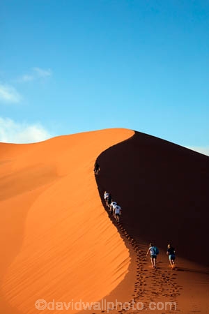 adventure;adventurous;Africa;African;arid;big-dunes;Dead-vlei;Deadvlei;desert;deserts;dry;dune;dunes;giant-dune;giant-dunes;giant-sand-dune;giant-sand-dunes;holiday;holidays;hot;huge-dunes;large-dunes;Namib-Desert;Namib-Naukluft-N.P.;Namib-Naukluft-National-Park;Namib-Naukluft-NP;Namib_Naukluft-N.P.;Namib_Naukluft-National-Park;Namib_Naukluft-NP;Namibia;national-park;national-parks;natural;orange-sand;people;person;remote;remoteness;reserve;reserves;sand;sand-dune;sand-dunes;sand-hill;sand-hills;sand_dune;sand_dunes;sand_hill;sand_hills;sanddune;sanddunes;sandhill;sandhills;sandy;Sossusvlei;Southern-Africa;tourism;tourist;tourists;wilderness