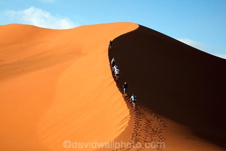 adventure;adventurous;Africa;African;arid;big-dunes;Dead-vlei;Deadvlei;desert;deserts;dry;dune;dunes;giant-dune;giant-dunes;giant-sand-dune;giant-sand-dunes;holiday;holidays;hot;huge-dunes;large-dunes;Namib-Desert;Namib-Naukluft-N.P.;Namib-Naukluft-National-Park;Namib-Naukluft-NP;Namib_Naukluft-N.P.;Namib_Naukluft-National-Park;Namib_Naukluft-NP;Namibia;national-park;national-parks;natural;orange-sand;people;person;remote;remoteness;reserve;reserves;sand;sand-dune;sand-dunes;sand-hill;sand-hills;sand_dune;sand_dunes;sand_hill;sand_hills;sanddune;sanddunes;sandhill;sandhills;sandy;Sossusvlei;Southern-Africa;tourism;tourist;tourists;wilderness