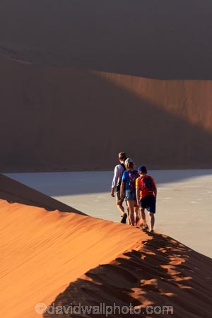 adventure;adventurous;Africa;arid;big-dunes;children;clay-pan;clay-pans;Dead-Vlei;Deadvlei;desert;deserts;dry;dune;dunes;families;family;family-holiday;family-holidays;giant-dune;giant-dunes;giant-sand-dune;giant-sand-dunes;holiday;holidays;hot;huge-dunes;large-dunes;Namib-Desert;Namib-Naukluft-N.P.;Namib-Naukluft-National-Park;Namib-Naukluft-NP;Namib_Naukluft-N.P.;Namib_Naukluft-National-Park;Namib_Naukluft-NP;Namibia;national-park;national-parks;natural;orange-sand;pan;people;person;remote;remoteness;reserve;reserves;salt-pan;salt-pans;sand;sand-dune;sand-dunes;sand-hill;sand-hills;sand_dune;sand_dunes;sand_hill;sand_hills;sanddune;sanddunes;sandhill;sandhills;sandy;Sossusvlei;Southern-Africa;tourism;tourist;tourists;vlei;white-clay-pan;wilderness