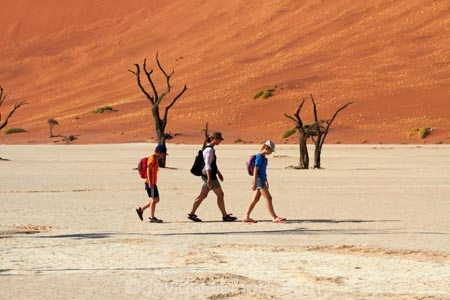 900-year-old-trees;adventure;adventurous;Africa;arid;big-dunes;children;clay-pan;clay-pans;dead-tree;dead-trees;Dead-Vlei;Deadvlei;desert;deserts;dry;dry-lake;dry-lake-bed;dry-lake-beds;dry-lakes;dune;dunes;families;family;family-holiday;family-holidays;giant-dune;giant-dunes;giant-sand-dune;giant-sand-dunes;holiday;holidays;hot;huge-dunes;lake-bed;large-dunes;Namib-Desert;Namib-Naukluft-N.P.;Namib-Naukluft-National-Park;Namib-Naukluft-NP;Namib_Naukluft-N.P.;Namib_Naukluft-National-Park;Namib_Naukluft-NP;Namibia;national-park;national-parks;natural;orange-sand;pan;people;person;remote;remoteness;reserve;reserves;salt-pan;salt-pans;sand;sand-dune;sand-dunes;sand-hill;sand-hills;sand_dune;sand_dunes;sand_hill;sand_hills;sanddune;sanddunes;sandhill;sandhills;sandy;Sossusvlei;Southern-Africa;tourism;tourist;tourists;tree-trunk;tree-trunks;vlei;white-clay-pan;wilderness