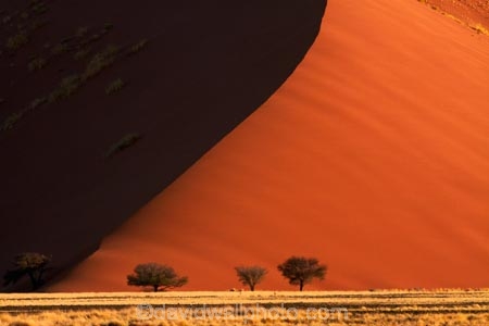 Africa;arid;big-dunes;curve;curves;desert;deserts;dry;dune;dunes;giant-dune;giant-dunes;giant-sand-dune;giant-sand-dunes;hot;huge-dunes;large-dunes;Namib-Desert;Namib-Naukluft-N.P.;Namib-Naukluft-National-Park;Namib-Naukluft-NP;Namib_Naukluft-N.P.;Namib_Naukluft-National-Park;Namib_Naukluft-NP;Namibia;national-park;national-parks;natural;orange-sand;remote;remoteness;reserve;reserves;sand;sand-dune;sand-dunes;sand-hill;sand-hills;sand_dune;sand_dunes;sand_hill;sand_hills;sanddune;sanddunes;sandhill;sandhills;sandy;Southern-Africa;wilderness