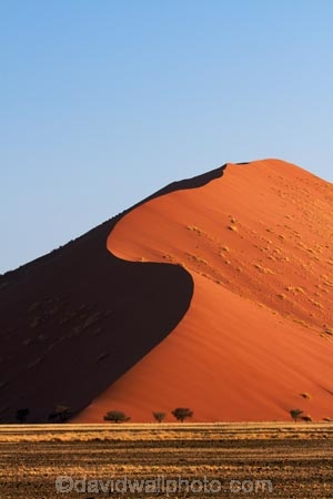 Africa;arid;big-dunes;curve;curves;desert;deserts;dry;dune;dunes;giant-dune;giant-dunes;giant-sand-dune;giant-sand-dunes;hot;huge-dunes;large-dunes;Namib-Desert;Namib-Naukluft-N.P.;Namib-Naukluft-National-Park;Namib-Naukluft-NP;Namib_Naukluft-N.P.;Namib_Naukluft-National-Park;Namib_Naukluft-NP;Namibia;national-park;national-parks;natural;orange-sand;remote;remoteness;reserve;reserves;sand;sand-dune;sand-dunes;sand-hill;sand-hills;sand_dune;sand_dunes;sand_hill;sand_hills;sanddune;sanddunes;sandhill;sandhills;sandy;Southern-Africa;wilderness