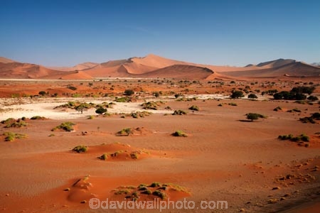 Africa;arid;big-dunes;desert;deserts;dry;dune;dunes;giant-dune;giant-dunes;giant-sand-dune;giant-sand-dunes;hot;huge-dunes;large-dunes;Namib-Desert;Namib-Naukluft-N.P.;Namib-Naukluft-National-Park;Namib-Naukluft-NP;Namib_Naukluft-N.P.;Namib_Naukluft-National-Park;Namib_Naukluft-NP;Namibia;national-park;national-parks;natural;orange-sand;remote;remoteness;reserve;reserves;sand;sand-dune;sand-dunes;sand-hill;sand-hills;sand_dune;sand_dunes;sand_hill;sand_hills;sanddune;sanddunes;sandhill;sandhills;sandy;Sossusvlei;Southern-Africa;wilderness