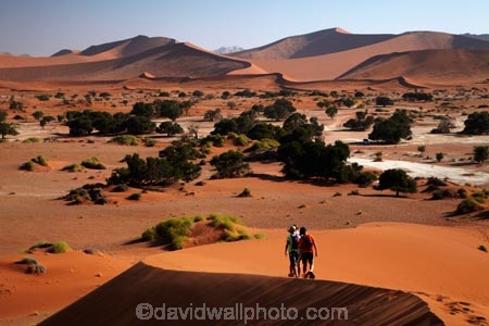 Africa;arid;big-dunes;children;desert;deserts;dry;dune;dunes;families;family;family-holiday;family-holidays;giant-dune;giant-dunes;giant-sand-dune;giant-sand-dunes;holiday;holidays;hot;huge-dunes;large-dunes;Namib-Desert;Namib-Naukluft-N.P.;Namib-Naukluft-National-Park;Namib-Naukluft-NP;Namib_Naukluft-N.P.;Namib_Naukluft-National-Park;Namib_Naukluft-NP;Namibia;national-park;national-parks;natural;orange-sand;people;person;remote;remoteness;reserve;reserves;sand;sand-dune;sand-dunes;sand-hill;sand-hills;sand_dune;sand_dunes;sand_hill;sand_hills;sanddune;sanddunes;sandhill;sandhills;sandy;Sossusvlei;Southern-Africa;tourism;tourist;tourists;wilderness
