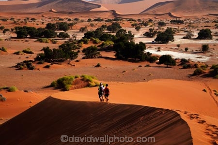 Africa;arid;big-dunes;children;desert;deserts;dry;dune;dunes;families;family;family-holiday;family-holidays;giant-dune;giant-dunes;giant-sand-dune;giant-sand-dunes;holiday;holidays;hot;huge-dunes;large-dunes;Namib-Desert;Namib-Naukluft-N.P.;Namib-Naukluft-National-Park;Namib-Naukluft-NP;Namib_Naukluft-N.P.;Namib_Naukluft-National-Park;Namib_Naukluft-NP;Namibia;national-park;national-parks;natural;orange-sand;people;person;remote;remoteness;reserve;reserves;sand;sand-dune;sand-dunes;sand-hill;sand-hills;sand_dune;sand_dunes;sand_hill;sand_hills;sanddune;sanddunes;sandhill;sandhills;sandy;Sossusvlei;Southern-Africa;tourism;tourist;tourists;wilderness