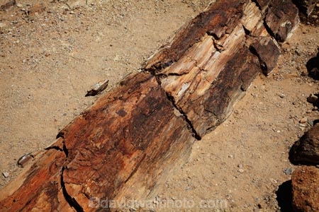 Africa;Damaraland;fossil;fossilised-trunks;fossilised-wood;fossilized-wood;fossils;Kunene-District;Kunene-Region;Namibia;permineralization.;petrification;Petrified-Forest;petrified-tree;petrified-trees;petrified-wood;silicification;Southern-Africa;tree-trunk;tree-trunks;wooden-opal