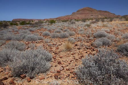 Africa;Damaraland;fossil;fossilised-trunks;fossilised-wood;fossilized-wood;fossils;Kunene-District;Kunene-Region;Namibia;permineralization.;petrification;Petrified-Forest;petrified-tree;petrified-trees;petrified-wood;silicification;Southern-Africa;tree-trunk;tree-trunks;wooden-opal