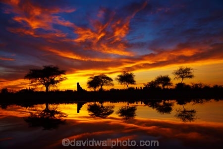 Africa;break-of-day;calm;dawn;dawning;daybreak;Etosha-N.P.;Etosha-National-Park;Etosha-NP;first-light;game-park;game-parks;game-reserve;game-reserves;morning;Namibia;national-park;national-parks;Okaukuejo;Okaukuejo-camp-ground;Okaukuejo-camp-site;Okaukuejo-campground;Okaukuejo-campsite;Okaukuejo-Rest-Camp;orange;placid;quiet;reflected;reflection;reflections;serene;smooth;Southern-Africa;still;sunrise;sunrises;sunup;tranquil;twilight;water;wildlife-park;wildlife-parks;wildlife-reserve;wildlife-reserves