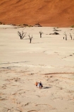 900-year-old-trees;adventure;adventurous;Africa;arid;big-dunes;children;clay-pan;clay-pans;dead-tree;dead-trees;Dead-Vlei;Deadvlei;desert;deserts;dry;dry-lake;dry-lake-bed;dry-lake-beds;dry-lakes;dune;dunes;families;family;family-holiday;family-holidays;giant-dune;giant-dunes;giant-sand-dune;giant-sand-dunes;holiday;holidays;hot;huge-dunes;lake-bed;large-dunes;Namib-Desert;Namib-Naukluft-N.P.;Namib-Naukluft-National-Park;Namib-Naukluft-NP;Namib_Naukluft-N.P.;Namib_Naukluft-National-Park;Namib_Naukluft-NP;Namibia;national-park;national-parks;natural;orange-sand;pan;people;person;remote;remoteness;reserve;reserves;salt-pan;salt-pans;sand;sand-dune;sand-dunes;sand-hill;sand-hills;sand_dune;sand_dunes;sand_hill;sand_hills;sanddune;sanddunes;sandhill;sandhills;sandy;Sossusvlei;Southern-Africa;tourism;tourist;tourists;tree-trunk;tree-trunks;vlei;white-clay-pan;wilderness