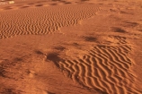 Africa;arid;Dead-vlei;Deadvlei;desert;deserts;dry;dune;dunes;hot;Namib-Desert;Namib-Naukluft-N.P.;Namib-Naukluft-National-Park;Namib-Naukluft-NP;Namib_Naukluft-N.P.;Namib_Naukluft-National-Park;Namib_Naukluft-NP;Namibia;national-park;national-parks;natural;orange-sand;remote;remoteness;reserve;reserves;ripple;ripples;sand;sand-dune;sand-dunes;sand-hill;sand-hills;sand_dune;sand_dunes;sand_hill;sand_hills;sanddune;sanddunes;sandhill;sandhills;sandy;Sossusvlei;Southern-Africa;wilderness;wind-ripple;wind-ripples
