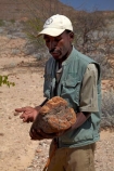Africa;african;Damaraland;fossil;fossilised-trunks;fossilised-wood;fossilized-wood;fossils;guide;guides;Kunene-District;Kunene-Region;Namibia;people;permineralization.;person;petrification;Petrified-Forest;petrified-tree;petrified-trees;petrified-wood;silicification;Southern-Africa;tree-trunk;tree-trunks;wooden-opal