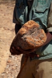 Africa;african;Damaraland;fossil;fossilised-trunks;fossilised-wood;fossilized-wood;fossils;guide;guides;Kunene-District;Kunene-Region;Namibia;people;permineralization.;person;petrification;Petrified-Forest;petrified-tree;petrified-trees;petrified-wood;silicification;Southern-Africa;tree-trunk;tree-trunks;wooden-opal