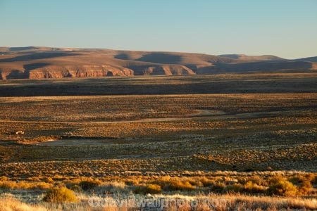 Calvinia;Gannaga;Gannaga-Lodge;Gannaga-Pass;Northern-Cape;Northern-Cape-Province;plain;plains;plateau;plateaus;Republic-of-South-Africa;Roggeveld-Mountains;South-Africa;South-African-Republic;Southern-Africa;Tankwa-Karoo;Tankwa-Karoo-N.P.;Tankwa-Karoo-National-Park;Tankwa-Karoo-NP;view;views;vista;vistas;Western-Cape
