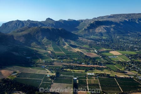 aerial;aerial-image;aerial-images;aerial-photo;aerial-photograph;aerial-photographs;aerial-photography;aerial-photos;aerial-view;aerial-views;aerials;Africa;agricultural;agriculture;Cape-Town;Constantia;country;countryside;crop;crops;cultivation;farm;farming;farmland;farms;field;fields;grape;grapes;grapevine;horticulture;row;rows;rural;South-Africa;Southern-Africa;vine;vines;vineyard;vineyards;vintage;Western-Cape;Western-Cape-Province;wine;wine-estate;wine-estates;wineries;winery;wines