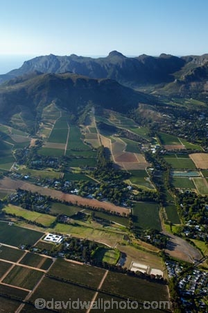 aerial;aerial-image;aerial-images;aerial-photo;aerial-photograph;aerial-photographs;aerial-photography;aerial-photos;aerial-view;aerial-views;aerials;Africa;agricultural;agriculture;Cape-Town;Constantia;country;countryside;crop;crops;cultivation;farm;farming;farmland;farms;field;fields;grape;grapes;grapevine;horticulture;row;rows;rural;South-Africa;Southern-Africa;vine;vines;vineyard;vineyards;vintage;Western-Cape;Western-Cape-Province;wine;wine-estate;wine-estates;wineries;winery;wines
