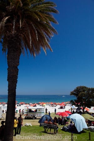 Africa;Atlantic-Coast;Atlantic-seaboard;beach;beach-umbrella;beach-umbrellas;beaches;Camps-Bay;Cape-Peninsula;Cape-Town;coast;coastal;coastline;coastlines;coasts;crowd;crowds;ocean;oceans;people;person;picnic;picnics;S.A.;sand;sandy;sea;seas;shore;shoreline;shorelines;shores;South-Africa;Southern-Africa;Sth-Africa;summer;sun-umbrella;sun-umbrellas;swimmer;swimmers;umbrella;umbrellas;water;Western-Cape;Western-Cape-Province