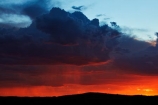 Africa;African;approaching-storm;approaching-storms;black-cloud;black-clouds;Botswana;cloud;clouds;cloudy;dark-cloud;dark-clouds;desert;deserts;downpour;downpours;dusk;evening;Gemsbok-National-Park;gray-cloud;gray-clouds;grey-cloud;grey-clouds;Kalahari-Desert;Kalahari-Gemsbok-N.P.;Kalahari-Gemsbok-National-Park;Kalahari-Gemsbok-NP;Kgalagadi;Kgalagadi-Park;Kgalagadi-Transfrontier-Park;national-park;national-parks;night;night_time;nightfall;orange;park;parks;rain;rain-cloud;rain-clouds;rain-storm;rain-storms;rainy-season;Republic-of-South-Africa;safari;safaris;South-Africa;South-African-Republic;Southern-Africa;storm;storm-cloud;storm-clouds;storms;summer;sunset;sunsets;thunder-storm;thunder-storms;thunderstorm;thunderstorms;twilight;weather;wet-season;wilderness