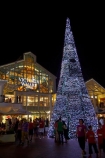Africa;Cape-Town;Cape-Town-Waterfront;christmas-tree;christmas-trees;crowd;crowds;dark;dusk;evening;light;lights;night;night-time;night_time;people;person;S.A.;South-Africa;Southern-Africa;Sth-Africa;tourism;tourist;tourists;twilight;V-amp;-A-Waterfront;V-and-A-Waterfront;Vamp;A-Waterfront;Victoria-amp;-Alfred-Waterfront;Victoria-and-Alfred-Waterfront;Western-Cape;Western-Cape-Province