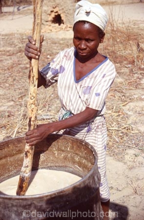 Northern-Zimbabwe;Zimbabwe;Africa;Southern-Africa;African;maize-beer;maize;woman;women;lady;female;traditional;tradition;traditions;stir;work;working;drum;beer;beers;native;indigenous;culture;cultural;cultures
