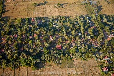 aerial;aerial-image;aerial-images;aerial-photo;aerial-photograph;aerial-photographs;aerial-photography;aerial-photos;aerial-view;aerial-views;aerials;agricultural;agriculture;Asia;Cambodia;country;countryside;farm;farming;farmland;farms;field;fields;Indochina-Peninsula;Kampuchea;Kingdom-of-Cambodia;meadow;meadows;paddock;paddocks;pasture;pastures;Pradak;Preah-Dak;rural;Siem-Reap;Siem-Reap-Province;Southeast-Asia