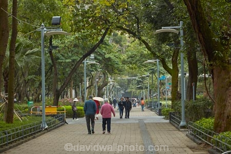 Asia;Causeway-Bay;China;H.K.;HK;Hong-Kong;Hong-Kong-Island;Hong-Kong-Special-Administrative-Region-of-the-Peoples-Republic;path;pathway;pedestrian;pedestrians;people;Peoples-Republic-of-China;person;tree;trees;Victoria-Park;Victoria-Pk;walker;walkers;walking;walkway;walkways