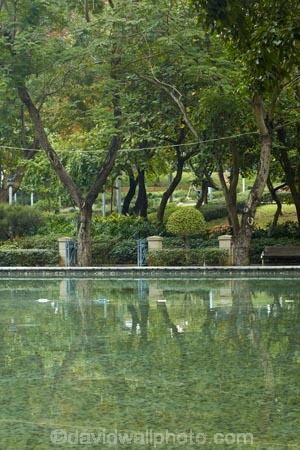 Asia;Causeway-Bay;China;H.K.;HK;Hong-Kong;Hong-Kong-Island;Hong-Kong-Special-Administrative-Region-of-the-Peoples-Republic;Peoples-Republic-of-China;pond;ponds;pool;pools;tree;trees;Victoria-Park;Victoria-Pk