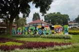 Malang;Java;Indonesia;Asia;South-East-Asia;Southeast-Asia;Wonosari-tea-plantation;tea;tea-plantation;tea-plantations;farm;farming;horticulture;agriculture;Wonosari-tea;Wonosari;East-Java