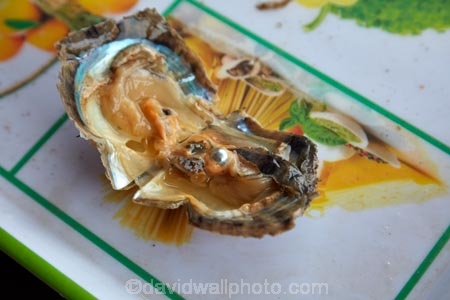 Asia;Ha-Long-Bay;Halong-Bay;North-Vietnam;Northern-Vietnam;oyster;oysters;Pearl;Pearl-Farm;Pearl-Farms;Pearls;Qung-Ninh-Province;Quang-Ninh-Province;South-East-Asia;Southeast-Asia;tourism;UN-world-heritage-area;UN-world-heritage-site;UNESCO-World-Heritage-area;UNESCO-World-Heritage-Site;united-nations-world-heritage-area;united-nations-world-heritage-site;Vnh-H-Long;Vietnam;Vietnamese;world-heritage;world-heritage-area;world-heritage-areas;World-Heritage-Park;World-Heritage-site;World-Heritage-Sites