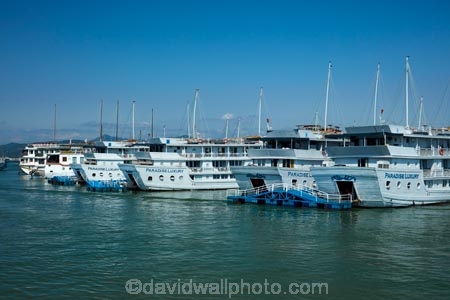 Asia;boat;boats;cruise-boat;cruise-boats;cruising;Ha-Long-Bay;Halong-Bay;North-Vietnam;Northern-Vietnam;Paradise-Luxury-Boat;Paradise-Luxury-Cruise-Boats;Qung-Ninh-Province;Quang-Ninh-Province;South-East-Asia;Southeast-Asia;tour-boat;tour-boats;tourism;tourist;tourist-boat;tourist-boats;tourists;travel-destination;UN-world-heritage-area;UN-world-heritage-site;UNESCO-World-Heritage-area;UNESCO-World-Heritage-Site;united-nations-world-heritage-area;united-nations-world-heritage-site;Vnh-H-Long;Vietnam;Vietnamese;world-heritage;world-heritage-area;world-heritage-areas;World-Heritage-Park;World-Heritage-site;World-Heritage-Sites