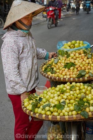 alley;alleys;alleyway;alleyways;Asia;Asian;Asian-conical-hat;Asian-conical-hats;back-street;back-streets;backstreet;backstreets;conical-hat;conical-hats;fresh-produce;fruit;Hanoi;hawker;hawkers;lane;lanes;laneway;laneways;leaf-hat;leaf-hats;non-la;nón-lá;Old-Quarter;palm_leaf-conical-hat;produce;South-East-Asia;Southeast-Asia;street;street-scene;street-scenes;street-vendor;street-vendors;streets;vendor;vendors;Vietnam;Vietnamese;Vietnamese-conical-hat;Vietnamese-conical-hats;Vietnamese-hat;Vietnamese-hats;Vietnamese-symbol
