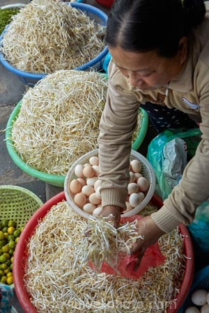 Asia;Asian;bean-sprout;bean-sprouts;Central-Market;Central-Sea-region;commerce;commercial;eggs;farmer-market;farmer-markets;farmers-market;farmers-markets;farmers-market;farmers-markets;female;females;food;food-market;food-markets;food-stall;food-stalls;fruit;fruit-and-vegetables;fruit-market;fruit-markets;Hi-An;Hoi-An;Hoi-An-Central-Market;Hoi-An-Market;Hoi-An-Old-Town;Hoian;Indochina;ladies;lady;market;market-place;market-stall;market-stalls;market_place;marketplace;marketplaces;markets;mungbean;mungbeans;old-town;people;person;produce;produce-market;produce-markets;produce-pmarket;product;products;retail;retailer;retailers;shop;shopping;shops;South-East-Asia;Southeast-Asia;sprout;sprouts;stall;stalls;steet-scene;street;street-scene;street-scenes;streets;UN-world-heritage-area;UN-world-heritage-site;UNESCO-World-Heritage-area;UNESCO-World-Heritage-Site;united-nations-world-heritage-area;united-nations-world-heritage-site;Vietnam;Vietnamese;woman;women;world-heritage;world-heritage-area;world-heritage-areas;World-Heritage-Park;World-Heritage-site;World-Heritage-Sites