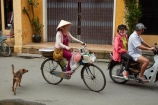 Asia;Asian;Asian-conical-hat;Asian-conical-hats;bicycle;bicycles;bike;bikes;Central-Sea-region;conical-hat;conical-hats;cycle;cycles;dog;dogs;female;females;Hi-An;Hoi-An;Hoi-An-Old-Town;Hoian;Indochina;ladies;lady;leaf-hat;leaf-hats;non-la;nón-lá;old-town;palm_leaf-conical-hat;people;person;push-bike;push-bikes;push_bike;push_bikes;pushbike;pushbikes;South-East-Asia;Southeast-Asia;street;street-scene;street-scenes;streets;UN-world-heritage-area;UN-world-heritage-site;UNESCO-World-Heritage-area;UNESCO-World-Heritage-Site;united-nations-world-heritage-area;united-nations-world-heritage-site;Vietnam;Vietnamese;Vietnamese-conical-hat;Vietnamese-conical-hats;Vietnamese-hat;Vietnamese-hats;Vietnamese-symbol;woman;women;world-heritage;world-heritage-area;world-heritage-areas;World-Heritage-Park;World-Heritage-site;World-Heritage-Sites