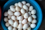 Asia;blue-basket;Central-Market;Central-Sea-region;egg;eggs;Hi-An;Hoi-An;Hoi-An-Central-Market;Hoi-An-Market;Hoi-An-Old-Town;Hoian;Indochina;old-town;South-East-Asia;Southeast-Asia;UN-world-heritage-area;UN-world-heritage-site;UNESCO-World-Heritage-area;UNESCO-World-Heritage-Site;united-nations-world-heritage-area;united-nations-world-heritage-site;Vietnam;Vietnamese;world-heritage;world-heritage-area;world-heritage-areas;World-Heritage-Park;World-Heritage-site;World-Heritage-Sites