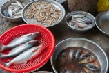 Asia;Asian;Cn-Tho;Can-Tho;Can-Tho-River;fish;fish-market;fish-markets;fishes;Mekong-Delta;Mekong-Delta-Region;South-East-Asia;Southeast-Asia;Vietnam;Vietnamese