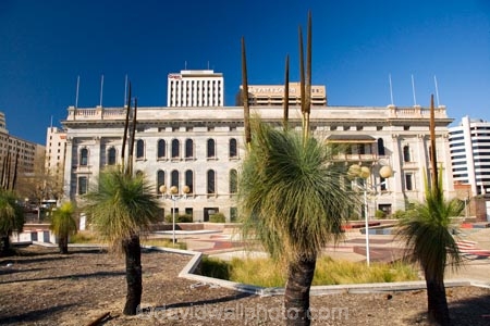 Adelaide;Australasian;Australia;Australian;building;buildings;Government-Building;Government-Buildings;grass-tree;grass-trees;heritage;historic;historic-building;historic-buildings;historical;historical-building;historical-buildings;history;old;Parliament-House;Parliament-of-South-Australia;S.A.;SA;South-Australia;State-Capital;tradition;traditional;Xanthorrhoea-spp