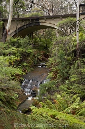 Australasia;Australia;Australian;Blue-Mountains;Blue-Mountains-N.P.;Blue-Mountains-National-Park;Blue-Mountains-NP;cascade;cascades;creek;creeks;Leura;Leura-Cascades;Leura-Falls-Creek;N.S.W.;natural;nature;New-South-Wales;NSW;scene;scenic;stream;streams;UN-world-heritage-site;UNESCO-World-Heritage-Site;united-nations-world-heritage-site;world-heritage;world-heritage-area;world-heritage-areas;World-Heritage-Park;World-Heritage-site;World-Heritage-Sites