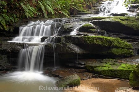 Australasia;Australia;Australian;Blue-Mountains;Blue-Mountains-N.P.;Blue-Mountains-National-Park;Blue-Mountains-NP;cascade;cascades;creek;creeks;falls;Leura;Leura-Cascades;Leura-Falls-Creek;N.S.W.;natural;nature;New-South-Wales;NSW;scene;scenic;stream;streams;UN-world-heritage-site;UNESCO-World-Heritage-Site;united-nations-world-heritage-site;water;water-fall;water-falls;waterfall;waterfalls;wet;world-heritage;world-heritage-area;world-heritage-areas;World-Heritage-Park;World-Heritage-site;World-Heritage-Sites