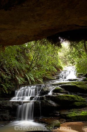 Australasia;Australia;Australian;Blue-Mountains;Blue-Mountains-N.P.;Blue-Mountains-National-Park;Blue-Mountains-NP;cascade;cascades;creek;creeks;falls;Leura;Leura-Cascades;Leura-Falls-Creek;N.S.W.;natural;nature;New-South-Wales;NSW;scene;scenic;stream;streams;UN-world-heritage-site;UNESCO-World-Heritage-Site;united-nations-world-heritage-site;water;water-fall;water-falls;waterfall;waterfalls;wet;world-heritage;world-heritage-area;world-heritage-areas;World-Heritage-Park;World-Heritage-site;World-Heritage-Sites