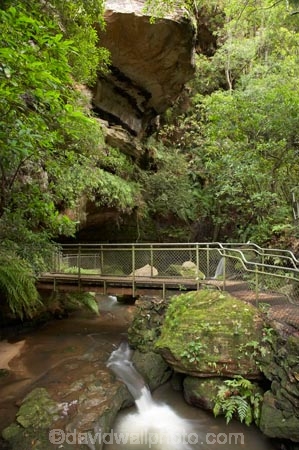Australasia;Australia;Australian;Blue-Mountains;Blue-Mountains-N.P.;Blue-Mountains-National-Park;Blue-Mountains-NP;cascade;cascades;creek;creeks;falls;Leura;Leura-Cascades;Leura-Falls-Creek;N.S.W.;natural;nature;New-South-Wales;NSW;scene;scenic;stream;streams;UN-world-heritage-site;UNESCO-World-Heritage-Site;united-nations-world-heritage-site;water;water-fall;water-falls;waterfall;waterfalls;wet;world-heritage;world-heritage-area;world-heritage-areas;World-Heritage-Park;World-Heritage-site;World-Heritage-Sites