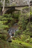 Australasia;Australia;Australian;Blue-Mountains;Blue-Mountains-N.P.;Blue-Mountains-National-Park;Blue-Mountains-NP;cascade;cascades;creek;creeks;Leura;Leura-Cascades;Leura-Falls-Creek;N.S.W.;natural;nature;New-South-Wales;NSW;scene;scenic;stream;streams;UN-world-heritage-site;UNESCO-World-Heritage-Site;united-nations-world-heritage-site;world-heritage;world-heritage-area;world-heritage-areas;World-Heritage-Park;World-Heritage-site;World-Heritage-Sites