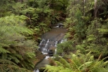 Australasia;Australia;Australian;Blue-Mountains;Blue-Mountains-N.P.;Blue-Mountains-National-Park;Blue-Mountains-NP;cascade;cascades;creek;creeks;Leura;Leura-Cascades;Leura-Falls-Creek;N.S.W.;natural;nature;New-South-Wales;NSW;scene;scenic;stream;streams;UN-world-heritage-site;UNESCO-World-Heritage-Site;united-nations-world-heritage-site;world-heritage;world-heritage-area;world-heritage-areas;World-Heritage-Park;World-Heritage-site;World-Heritage-Sites